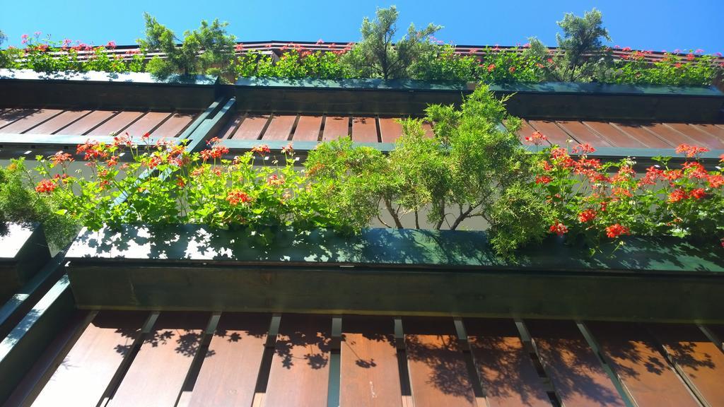 La Felce Bed & Breakfast Carisolo Exterior foto